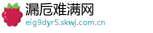 漏卮难满网